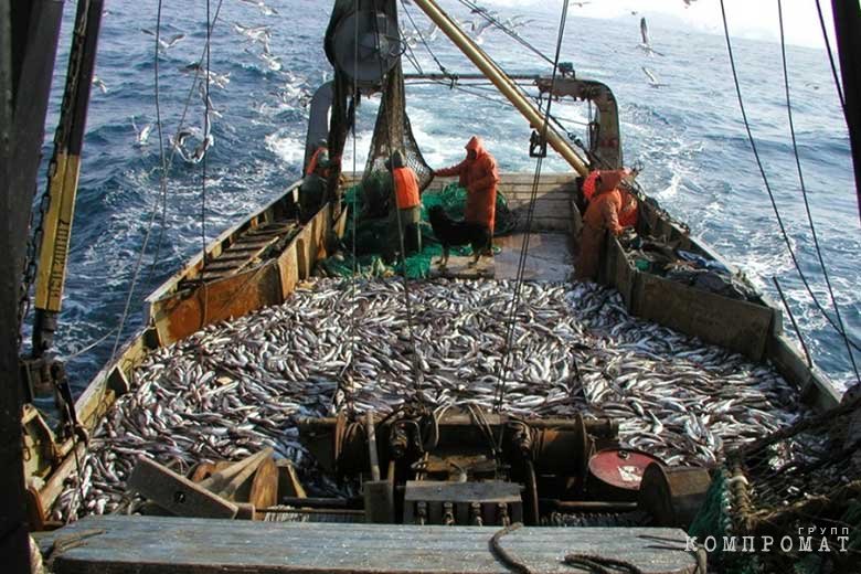 Рыбодобыча в Баренцевом море 