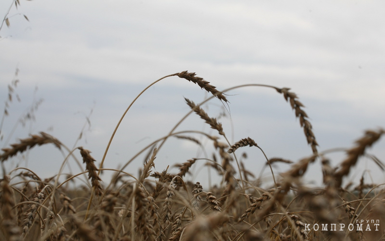 УрФО ждет скачков цен на сельхозпродукцию. Глава Челябинской области переложил решение проблем аграриев на продавцов ГСМ
