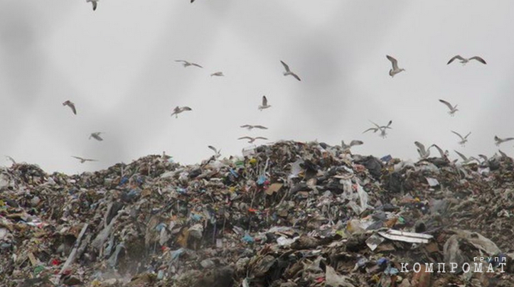 Опасные отходы «Россети Тюмень» утекли мимо «Росатома». Предприятия скрывают данные от РПН